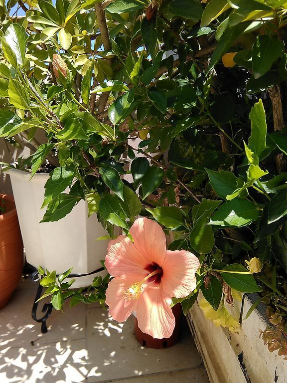 Nikita Traditional House Villa Chania  Room photo